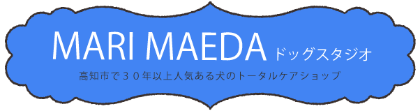 Mari Maeda ドッグスタジオ