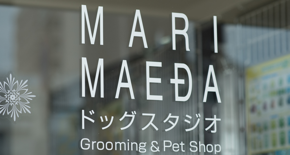 Mari Maedaドッグスタジオ